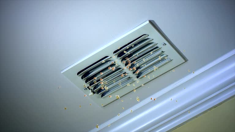 Best Ventilation Cleaning Services  in Weldon, NC