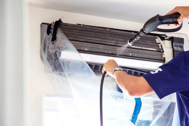 Air Duct Mold Removal in Weldon, NC