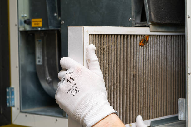 Best HVAC Air Duct Cleaning  in Weldon, NC