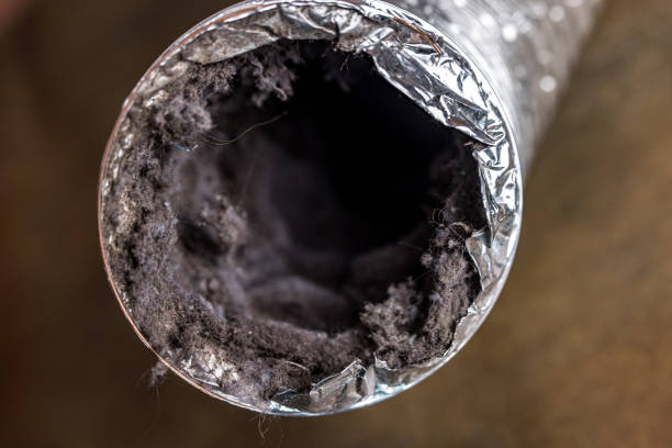 Best Best Air Duct Cleaning Company  in Weldon, NC