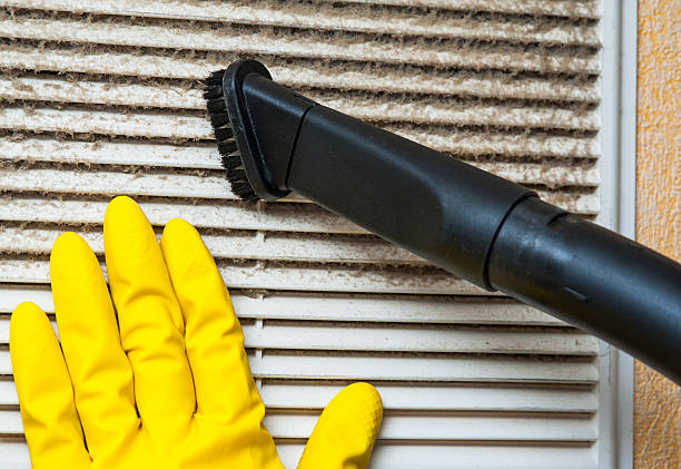 Best Affordable HVAC Duct Cleaning  in Weldon, NC