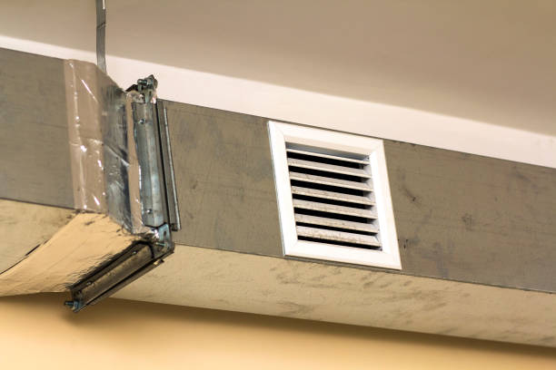 Best Local Air Duct Cleaning Services  in Weldon, NC